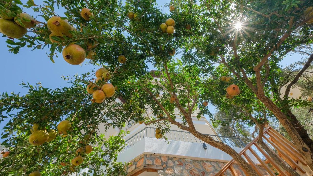 Sea Mist Suites Kaş Exterior foto